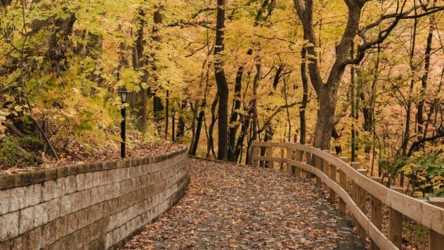 Яке свято 2 жовтня 2026 та чому не можна лінуватися цього дня